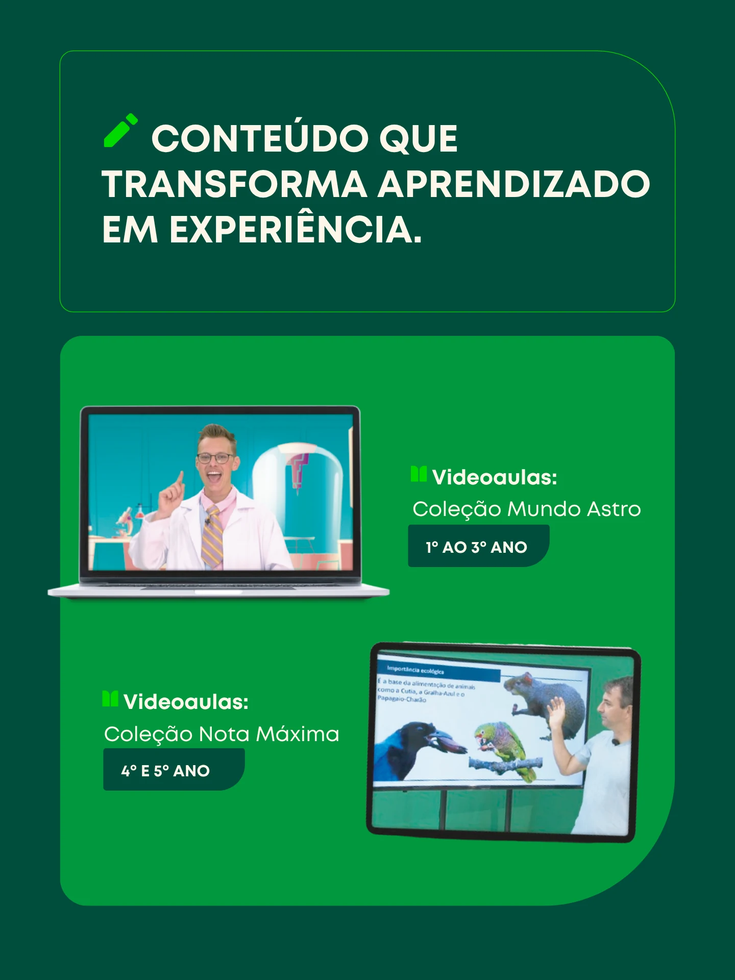 Arte oficial do Sistema COC — Ensino Fundamental I — peça 3